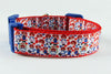 Raggedy Ann & Andy dog collar handmade adjustable buckle collar 1" wide or leash Petcollarshandmade