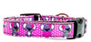 Koala Bear dog collar handmade adjustable buckle collar 5/8" wide or leash Petcollarshandmade