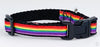 Rainbow Pride cat or small dog collar 1/2"wide adjustable handmade bell or leash Petcollarshandmade