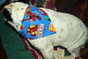 Cartoon dog collar handmade adjustable buckle collar 5/8" wide or leash Petcollarshandmade