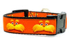 Lorax dog collar handmade adjustable buckle collar 1" wide or leash - Petcollarshandmades