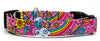 Flowers/Rainbow dog collar handmade adjustable buckle collar 5/8" wide narrow Petcollarshandmade