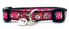 Monkey cat or small dog collar 1/2" wide adjustable handmade bell or leash Petcollarshandmade