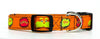 Lorax dog collar handmade adjustable buckle collar 5/8" wide or leash Petcollarshandmade