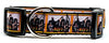 KISS dog collar rock N Roll handmade adjustable buckle 1"or 5/8" wide or leash Petcollarshandmade