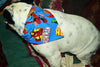 Grinch dog collar handmade adjustable buckle collar 5/8" wide or leash handmade - Petcollarshandmades