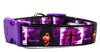 Rock Star dog collar handmade adjustable buckle collar 1" or 5/8" wide or leash Petcollarshandmade