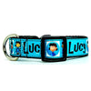 Lucy dog collar handmade adjustable buckle 1"or 5/8" wide or leash Petcollarshandmade