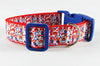 Raggedy Ann & Andy dog collar handmade adjustable buckle collar 1" wide or leash Petcollarshandmade
