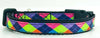 Argyle cat or small dog collar 1/2" wide adjustable handmade bell or leash Petcollarshandmade