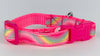 Rainbow cat & small dog collar 1/2" wide adjustable buckle handmade bell leash - Petcollarshandmades