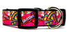 Skittles dog collar Handmade adjustable buckle collar 1" or 5/8" wide or leash Petcollarshandmade