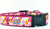 Care Bears dog collar handmade adjustable buckle collar 1" wide or leash Petcollarshandmade