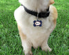 Pet ID Tag New York Yankees Personalized Custom Double Sided Pet Tag Football Petcollarshandmade