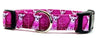 Chihuahua dog collar handmade adjustable buckle collar 5/8" wide or leash Petcollarshandmade