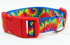 Rainbow Tie Dye dog collar handmade adjustable buckle 1" or 5/8" wide or leash Petcollarshandmade