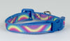 Rainbow cat & small dog collar 1/2" wide adjustable buckle handmade bell leash - Petcollarshandmades