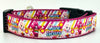 Care Bears dog collar handmade adjustable buckle collar 1" wide or leash Petcollarshandmade