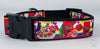 Fruit Loops dog collar handmade adjustable buckle collar 1" wide or leash - Petcollarshandmades