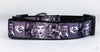 Lucy dog collar handmade adjustable buckle collar 1" wide or leash TV show Petcollarshandmade
