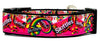 Skittles dog collar Handmade adjustable buckle collar 1" or 5/8" wide or leash Petcollarshandmade