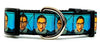 Ruth Bader Ginsburg dog collar handmade adjustable buckle 1"or 5/8"wide or leash Petcollarshandmade