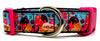 Ice Cream dog collar handmade adjustable buckle collar 1" wide or leash Petcollarshandmade