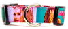 Ariana Grande dog collar Handmade adjustable buckle 1"wide or leash Pop music Petcollarshandmade