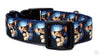 Gizmo/Gremlins dog collar handmade adjustable buckle 1" or 5/8" wide or leash Petcollarshandmade