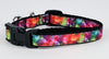 Kaleidoscope cat or small dog collar 1/2" wide adjustable handmade bell or leash Petcollarshandmade