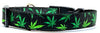 Weed Herbs dog collar handmade adjustable buckle collar 1" or 5/8" wide or leash Petcollarshandmade