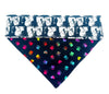 Dolly Parton Dog Bandana Over the Collar bandana Dog collar bandana Country singer Petcollarshandmade