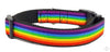 Rainbow Pride dog collar handmade adjustable buckle 1" or 5/8" or 1/2" wide Petcollarshandmade