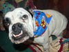 Betty Boop Dog Bandana Over the Collar dog bandana Dog collar bandana Petcollarshandmade