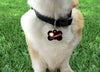 Chucky dog collar, handmade, adjustable, buckle collar,1" wide, leash - Petcollarshandmades