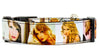 Taylor Swift dog collar Handmade adjustable buckle 1"wide or leash Country Pop Petcollarshandmade