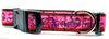 Cheshire Cat dog collar handmade adjustable buckle collar 1"wide or leash fabric - Petcollarshandmades