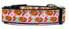 Pizza Party dog collar handmade adjustable buckle collar 1"wide or leash - Petcollarshandmades