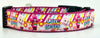 Care Bears dog collar handmade adjustable buckle collar 1" wide or leash Petcollarshandmade