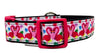 Pink Flamingo dog collar Handmade adjustable buckle 1" or 5/8" wide or leash - Petcollarshandmades