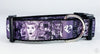 Lucy dog collar handmade adjustable buckle collar 1" wide or leash TV show Petcollarshandmade