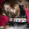 Bruce Springsteen Dog Bandana Over the Collar dog bandana Dog collar bandana Petcollarshandmade