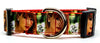Taylor Swift dog collar Handmade adjustable buckle 1" or 5/8" wide Country Pop Petcollarshandmade