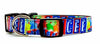 ICEE dog collar handmade adjustable buckle collar 5/8" wide or leash Petcollarshandmade