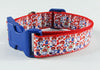 Raggedy Ann & Andy dog collar handmade adjustable buckle collar 1" wide or leash Petcollarshandmade