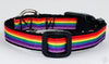 Rainbow Pride cat or small dog collar 1/2"wide adjustable handmade bell or leash Petcollarshandmade