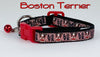 Boston Terrier cat or small dog collar 1/2" wide adjustable handmade bell leash - Petcollarshandmades