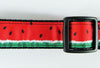 Watermelon dog collar handmade adjustable buckle collar 1" or 5/8"wide or leash Petcollarshandmade
