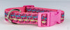 Skittles dog collar Handmade adjustable buckle collar 1" wide or leash pink Petcollarshandmade