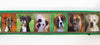 Puppies dog collar handmade adjustable buckle collar 1"wide or leash fabric - Petcollarshandmades